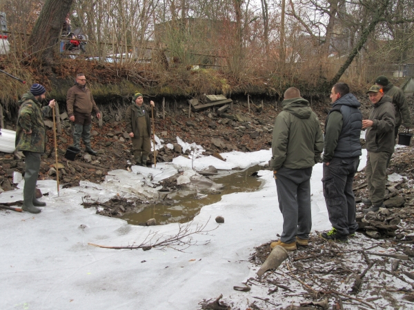 evakuierungsfischen_muehlgraben_55_20190212_1094828566.jpg