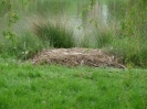 Anangeln 2008_27