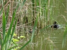 Anangeln 2011_28