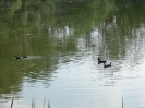 Anangeln 2011_30