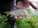Anangeln 2011_51
