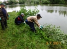 Arbeitseinsätze 2011 Gondelteich_12