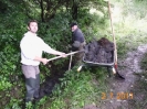 Arbeitseinsätze 2011 Gondelteich_6