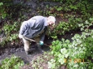 Arbeitseinsätze 2011 Gondelteich_9